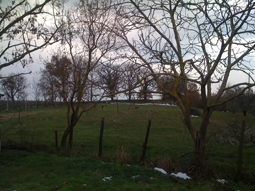 Immagine 4 di Rustico / casale in vendita  a Casole D'elsa