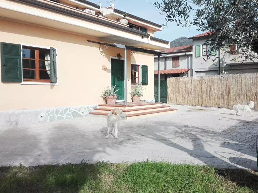 Immagine 3 di Villa in vendita  a Carrara