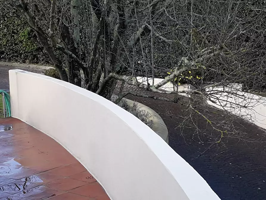 Immagine 16 di Villa in vendita  a San Miniato