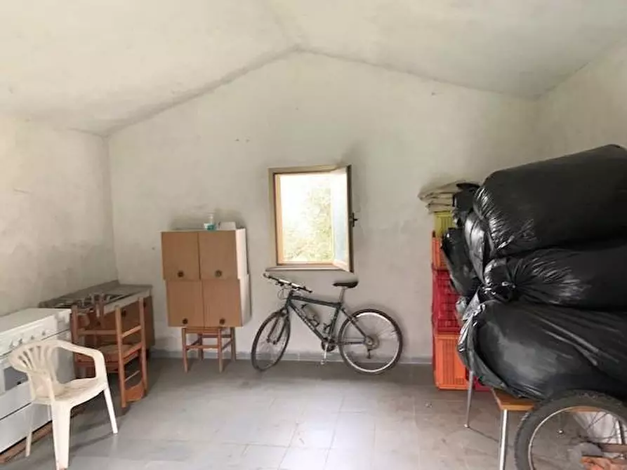 Immagine 3 di Garage in vendita  a Calci