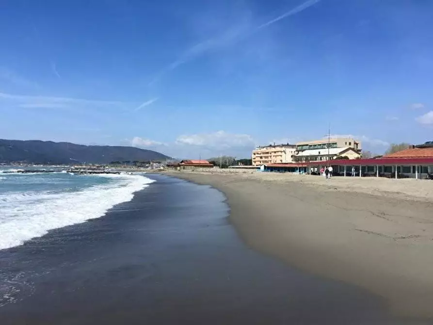 Immagine 19 di Appartamento in vendita  a Ameglia