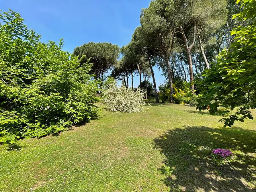 Immagine 21 di Casa bifamiliare in vendita  a Massa