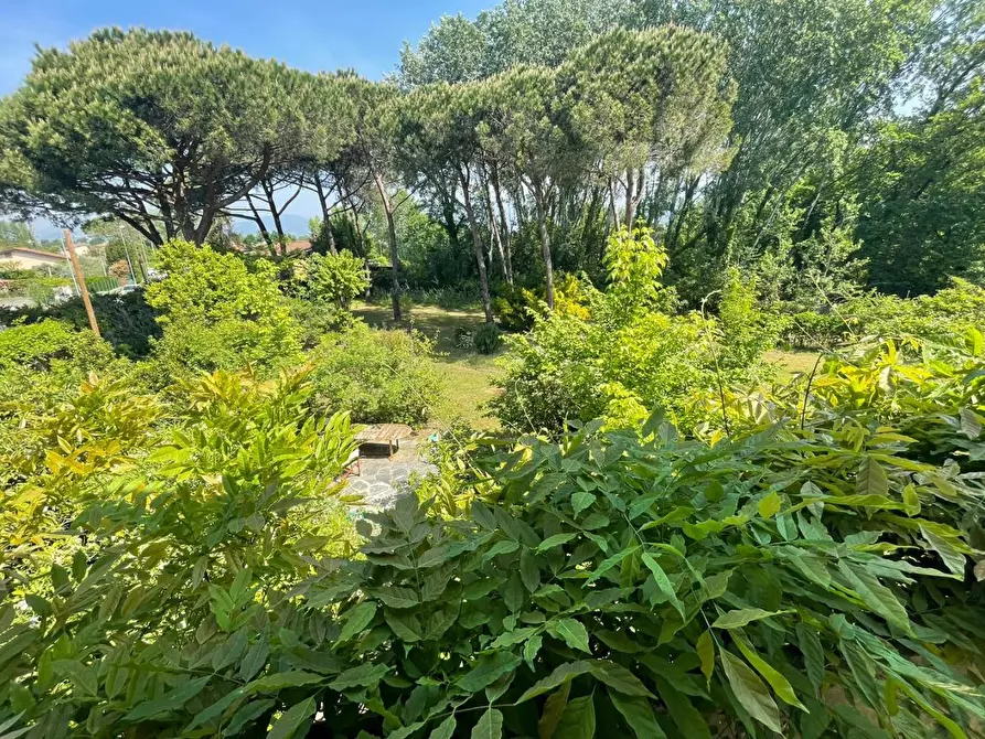 Immagine 22 di Casa bifamiliare in vendita  a Massa