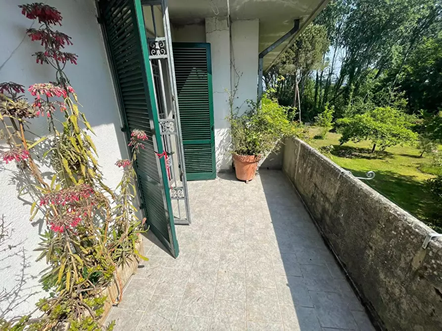 Immagine 18 di Casa bifamiliare in vendita  a Massa