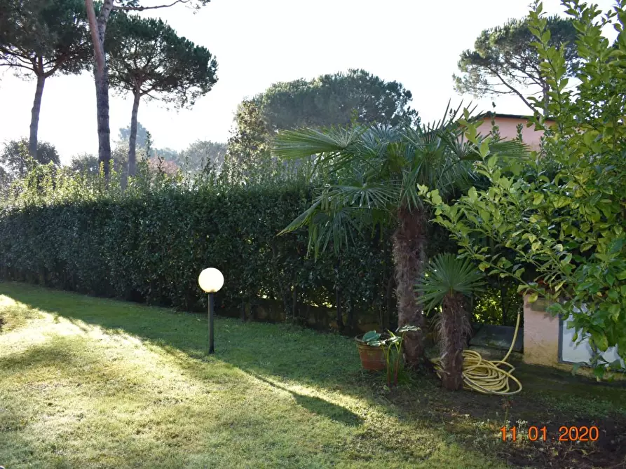 Immagine 4 di Villa in vendita  a Massa