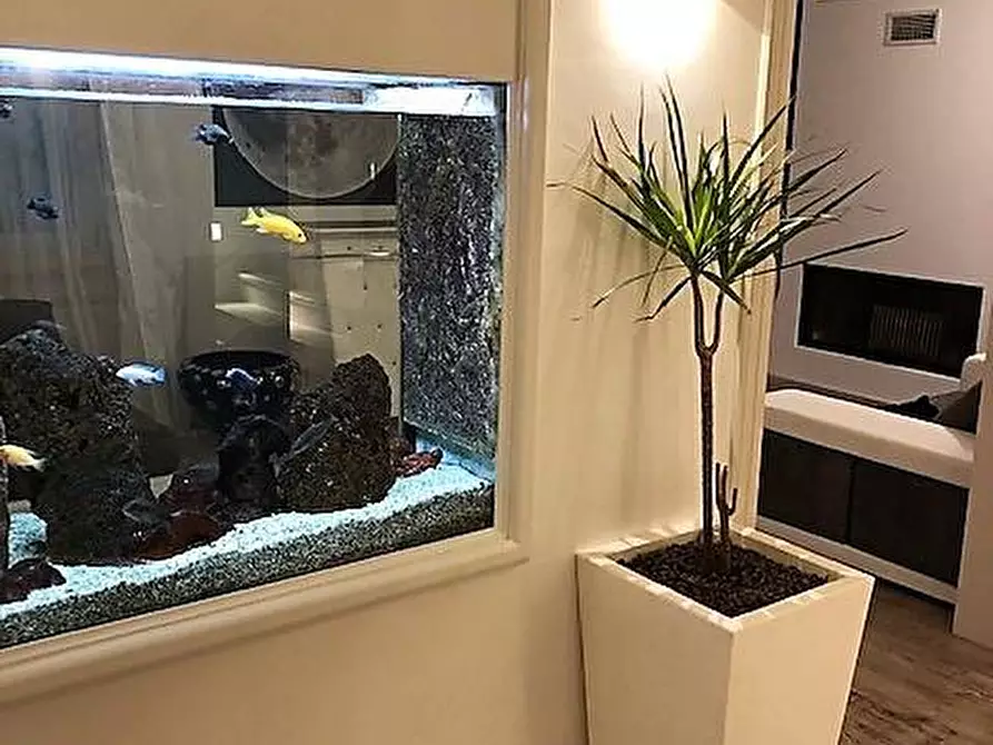 Immagine 26 di Villa in vendita  a Massa