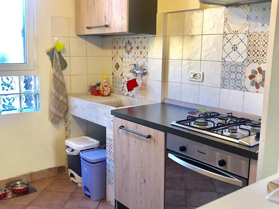 Immagine 5 di Villa in affitto  a Pisa