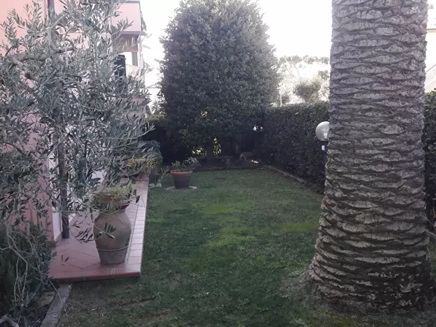 Immagine 22 di Appartamento in affitto  a Rosignano Marittimo