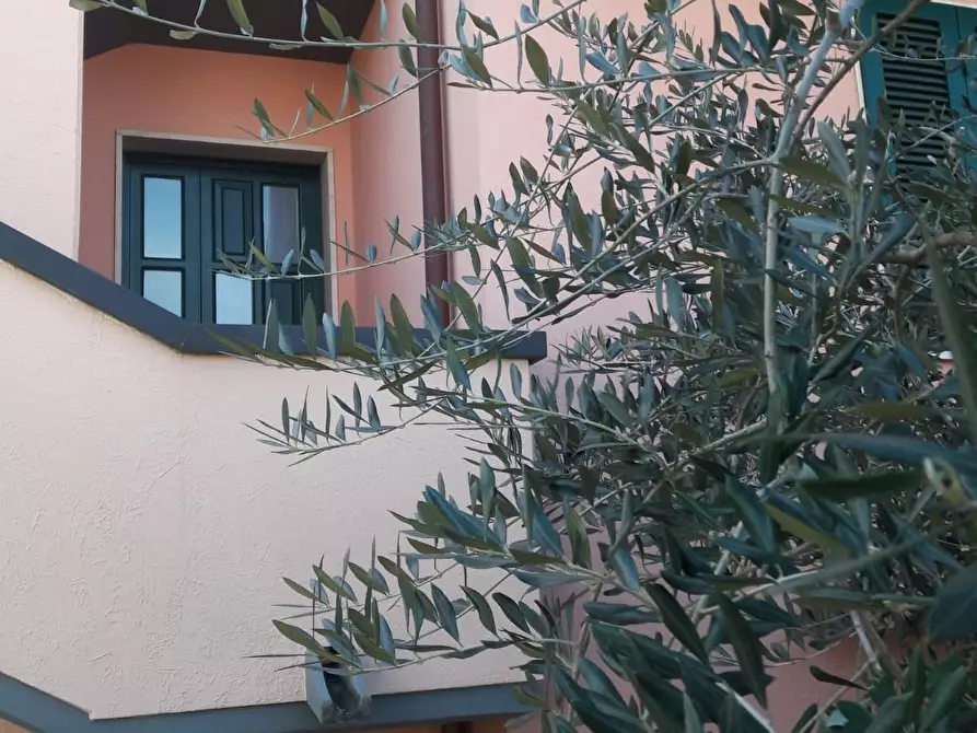 Immagine 23 di Appartamento in affitto  a Rosignano Marittimo