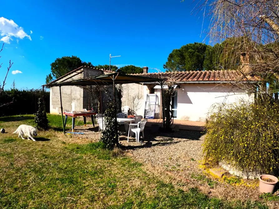 Immagine 7 di Azienda agricola in vendita  a Colle Di Val D'elsa