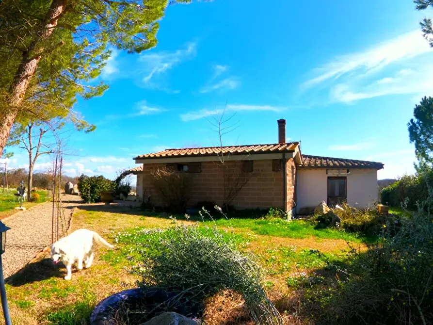 Immagine 2 di Azienda agricola in vendita  a Colle Di Val D'elsa