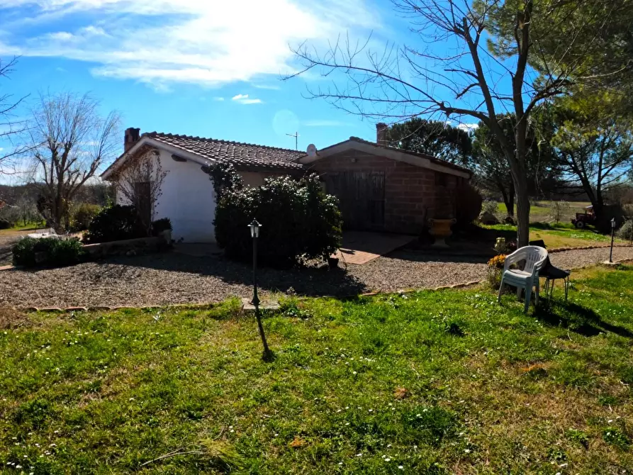 Immagine 6 di Azienda agricola in vendita  a Colle Di Val D'elsa