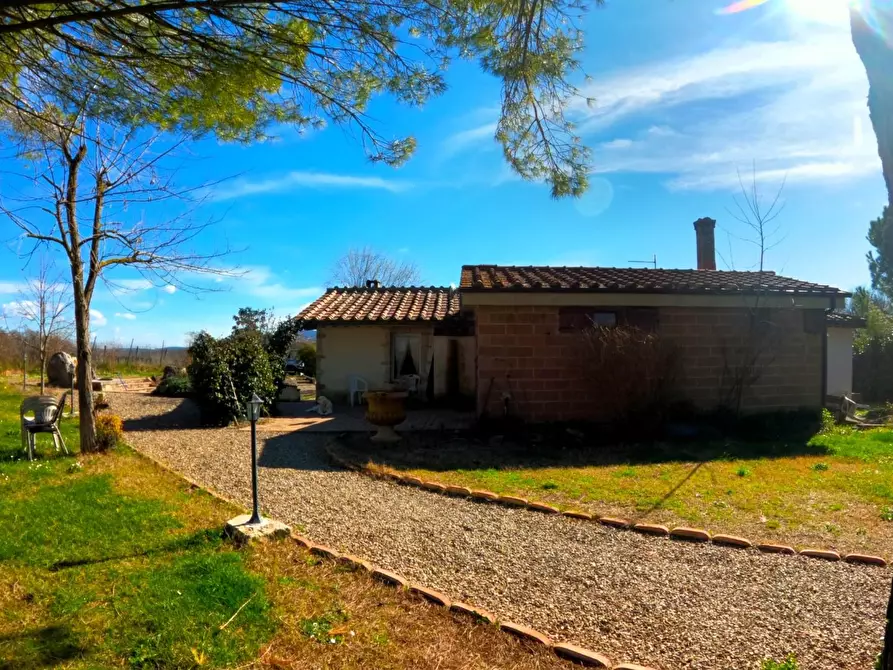 Immagine 3 di Azienda agricola in vendita  a Colle Di Val D'elsa