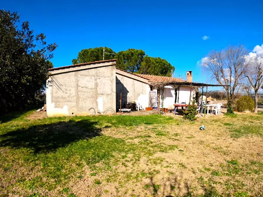 Immagine 5 di Azienda agricola in vendita  a Colle Di Val D'elsa