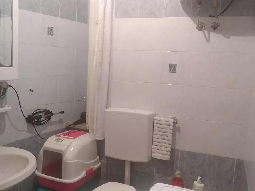 Immagine 3 di Appartamento in vendita  a Gavorrano