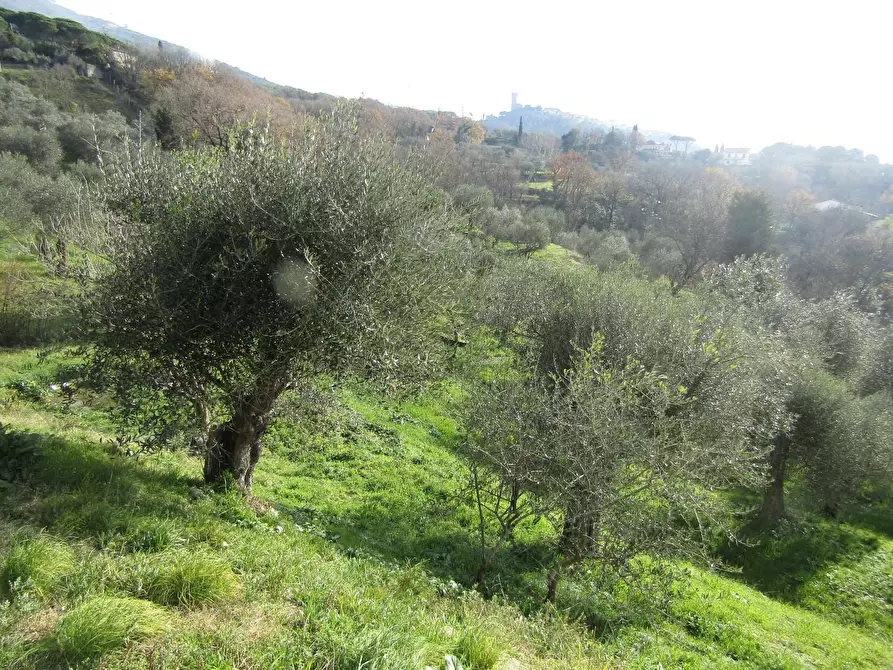 Immagine 13 di Villa in vendita  a Castelnuovo Magra