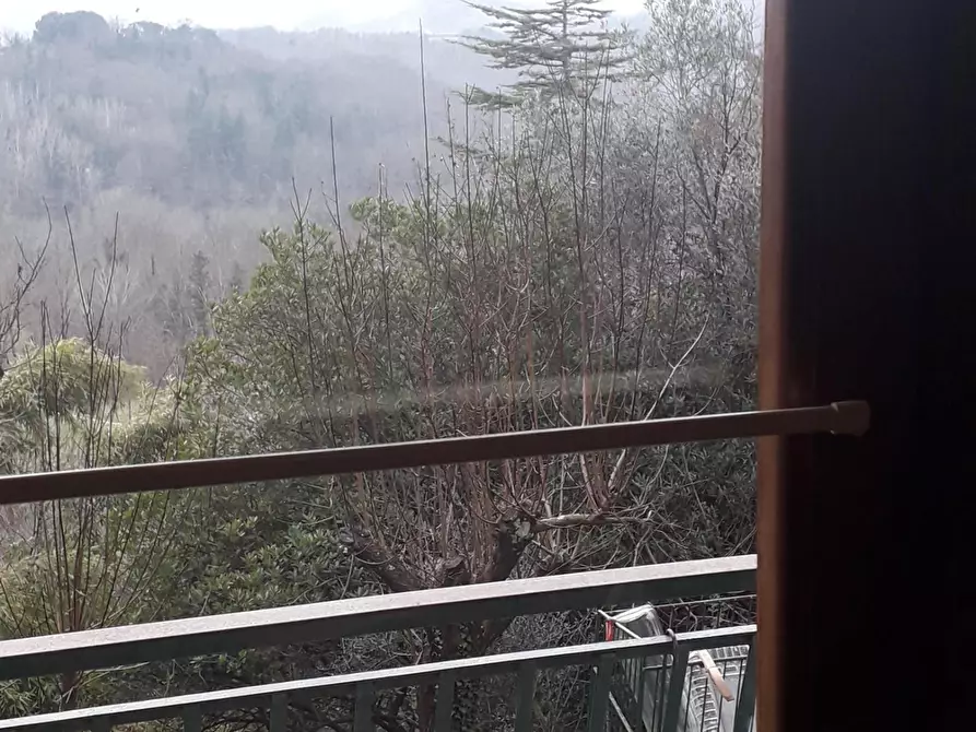 Immagine 16 di Casa indipendente in vendita  a Fivizzano