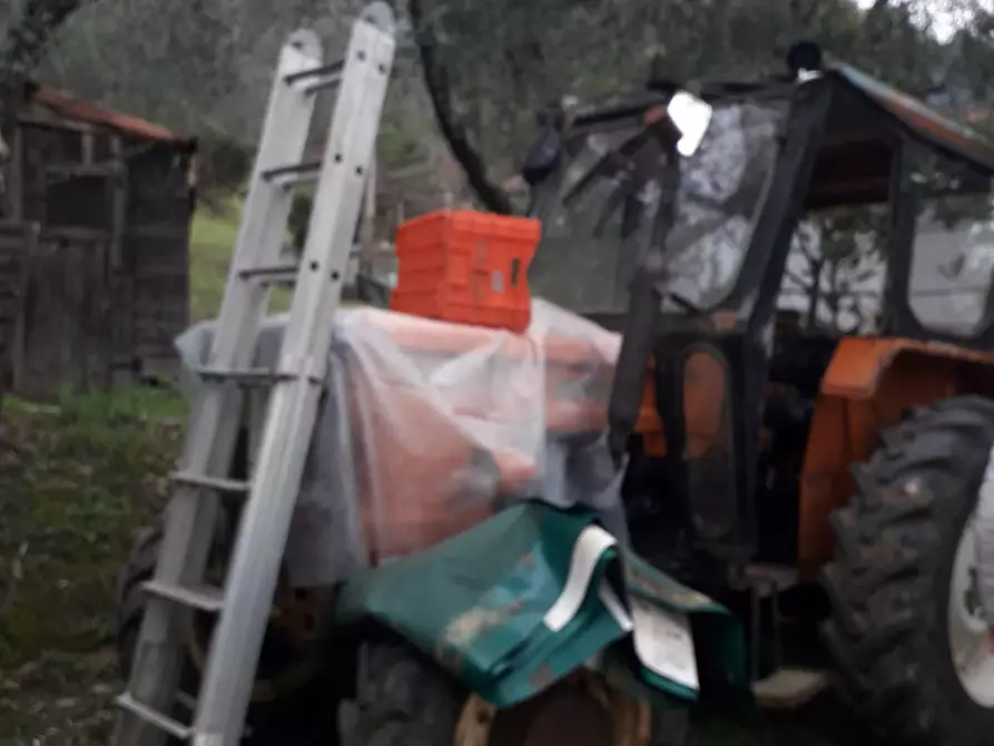 Immagine 28 di Casa indipendente in vendita  a Fivizzano