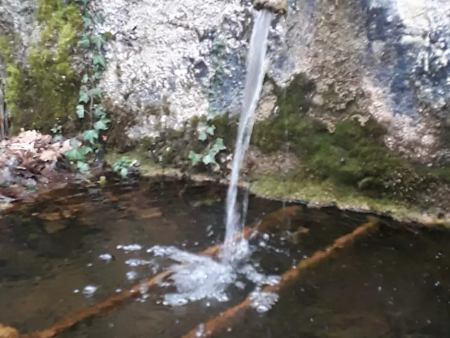 Immagine 4 di Casa indipendente in vendita  a Fivizzano