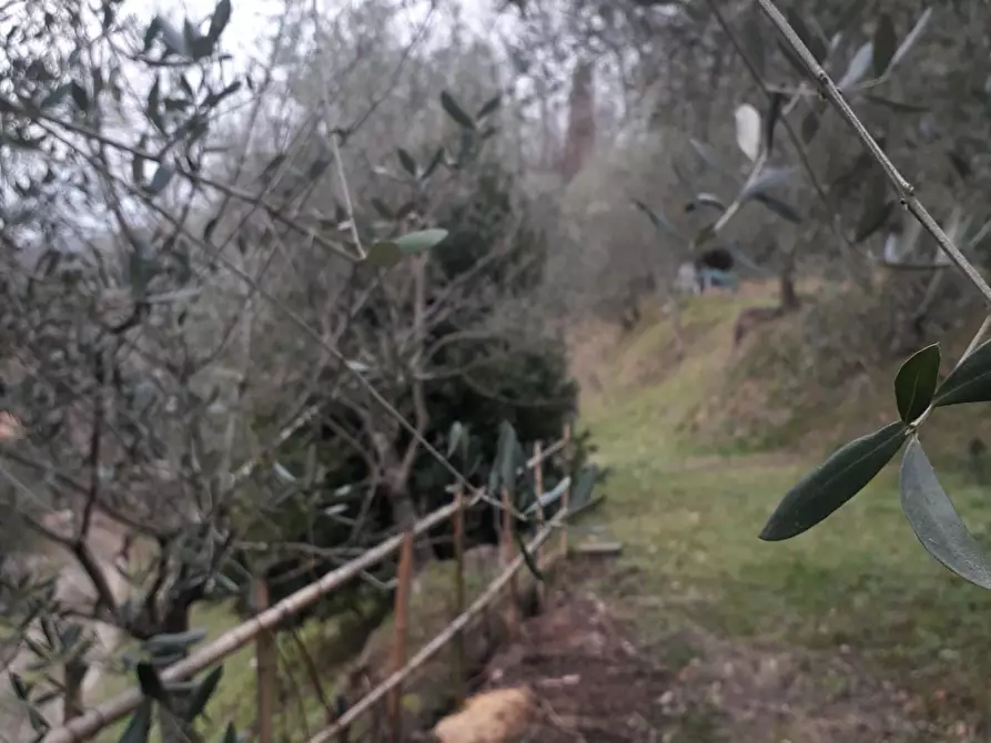 Immagine 5 di Casa indipendente in vendita  a Fivizzano