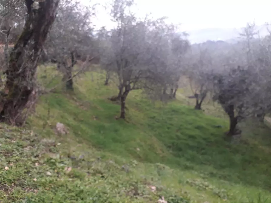 Immagine 6 di Casa indipendente in vendita  a Fivizzano