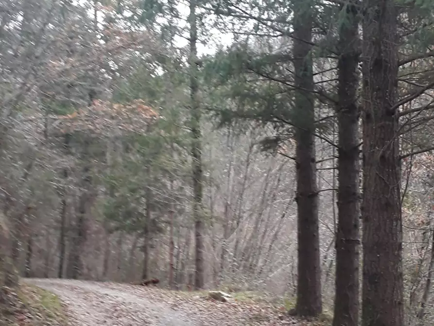 Immagine 3 di Casa indipendente in vendita  a Fivizzano