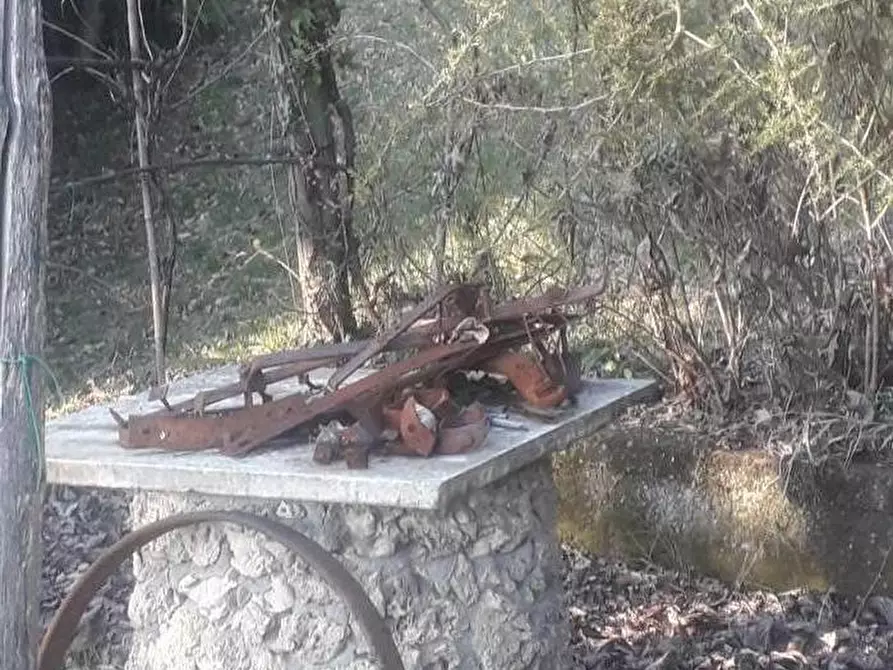 Immagine 33 di Casa indipendente in vendita  a Fivizzano