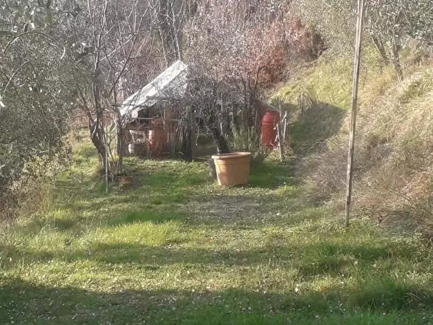 Immagine 31 di Casa indipendente in vendita  a Fivizzano