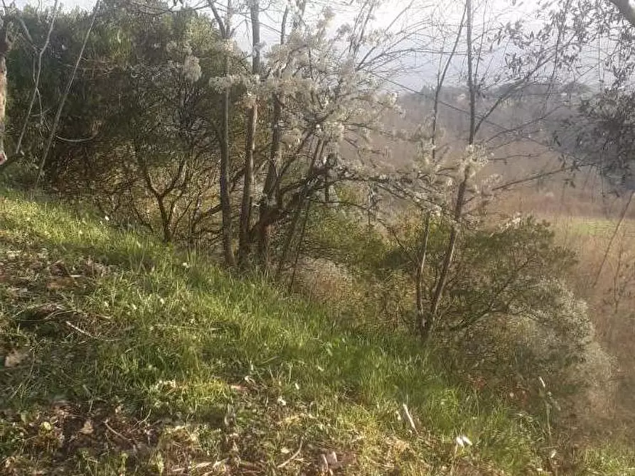 Immagine 32 di Casa indipendente in vendita  a Fivizzano