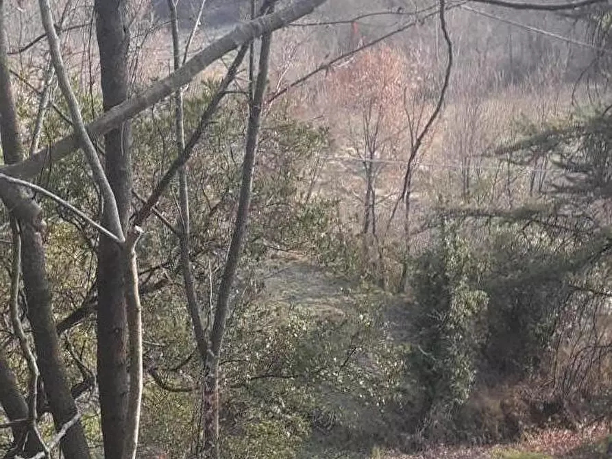 Immagine 35 di Casa indipendente in vendita  a Fivizzano