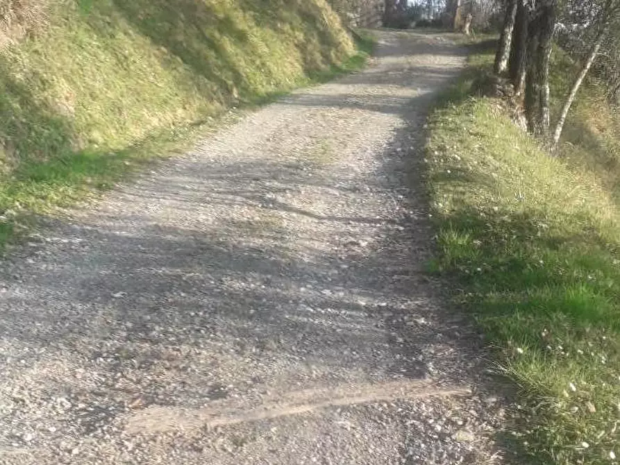 Immagine 29 di Casa indipendente in vendita  a Fivizzano