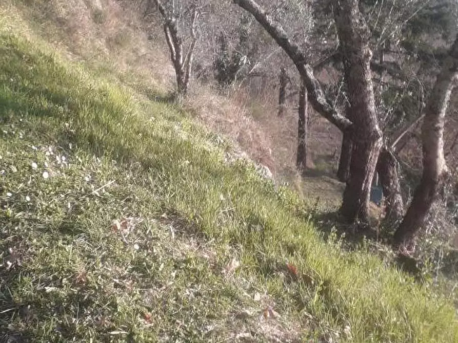 Immagine 30 di Casa indipendente in vendita  a Fivizzano