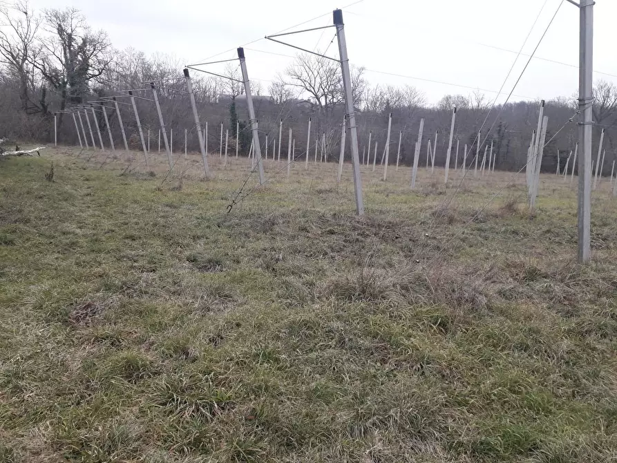 Immagine 3 di Terreno agricolo in vendita  a Villafranca In Lunigiana