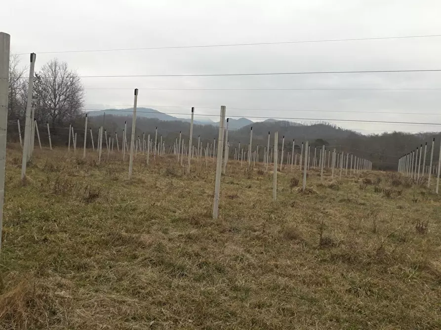 Immagine 2 di Terreno agricolo in vendita  a Villafranca In Lunigiana
