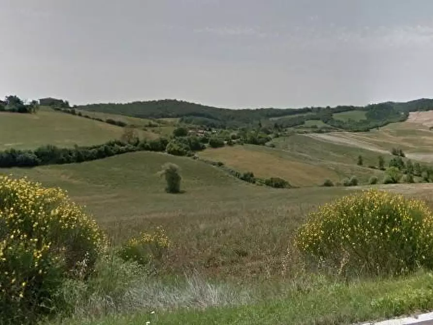 Immagine 1 di Terreno agricolo in vendita  a Casole D'elsa