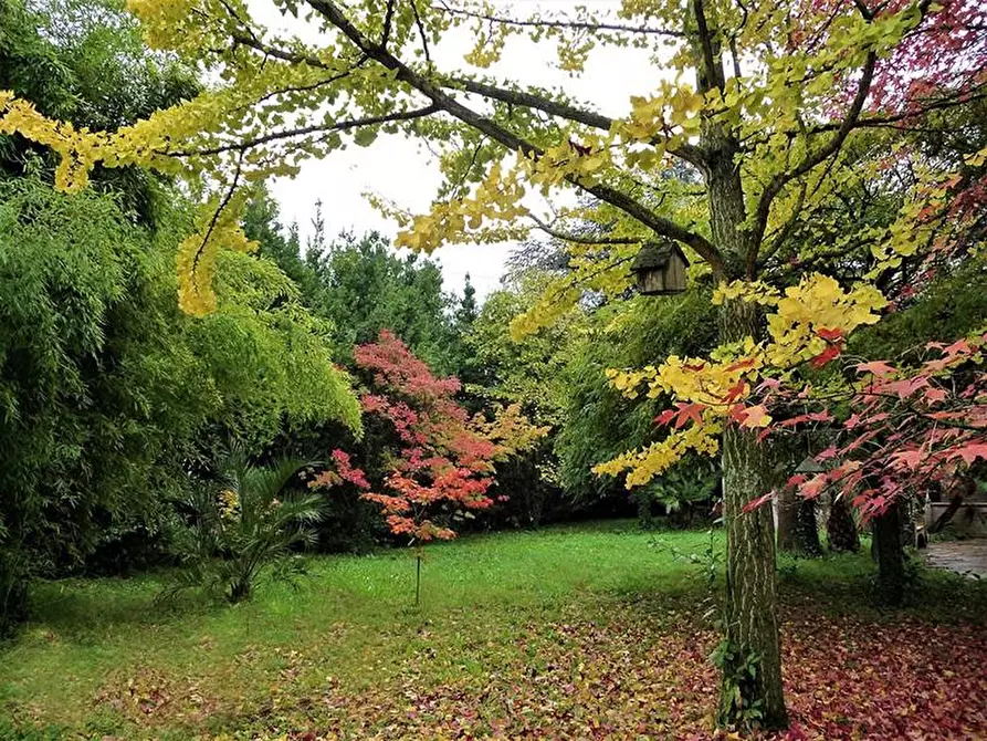 Immagine 2 di Porzione di casa in vendita  a Sarzana
