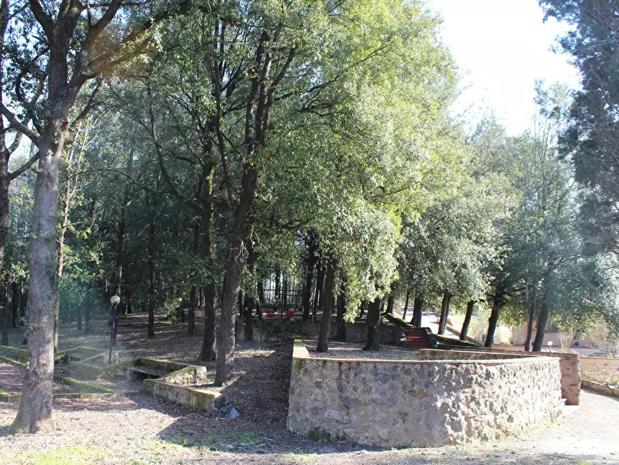 Immagine 18 di Villa in vendita  a Sovicille