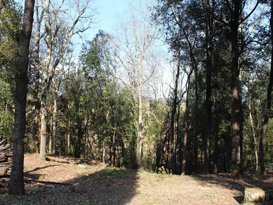 Immagine 17 di Villa in vendita  a Sovicille