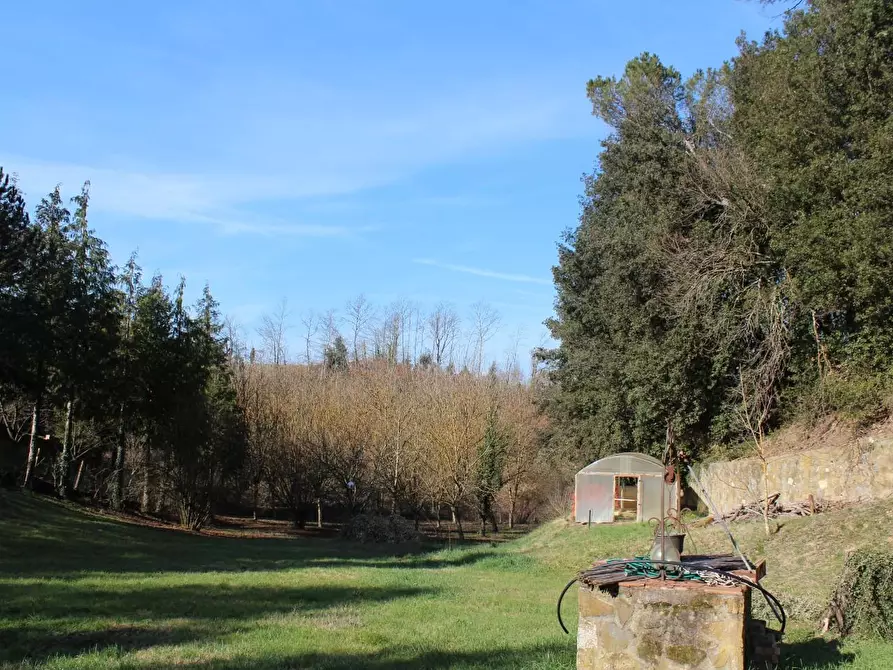 Immagine 5 di Villa in vendita  a Sovicille