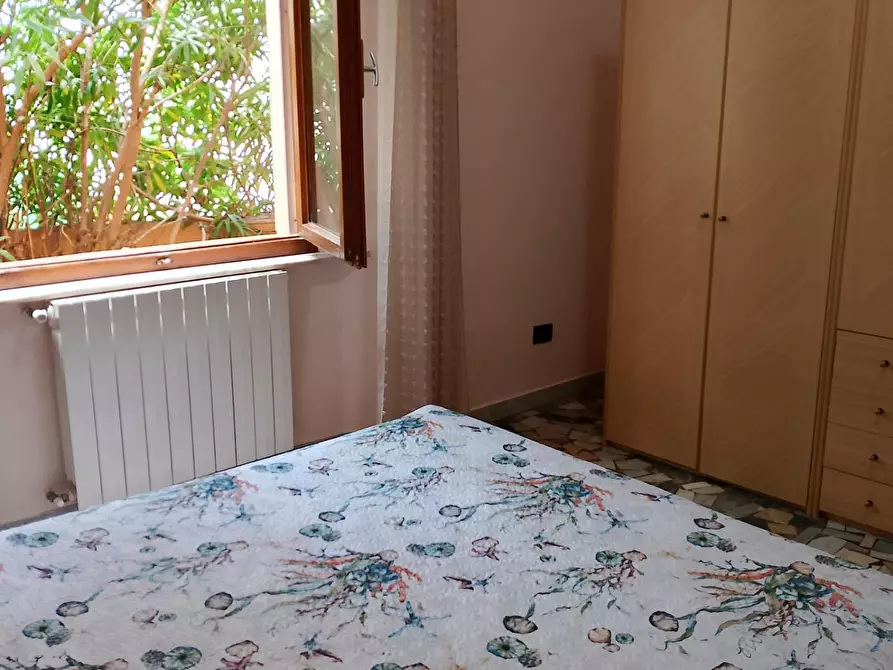 Immagine 11 di Appartamento in affitto  a Rosignano Marittimo