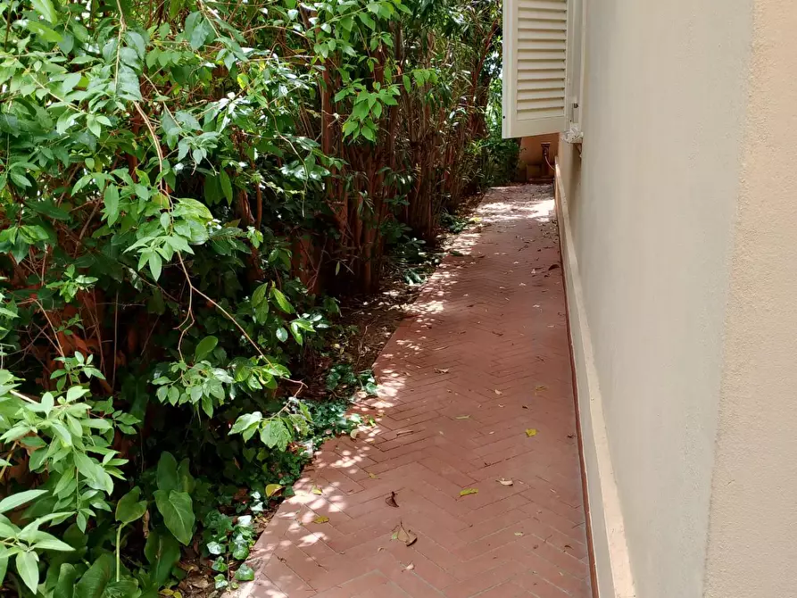 Immagine 19 di Appartamento in affitto  a Rosignano Marittimo