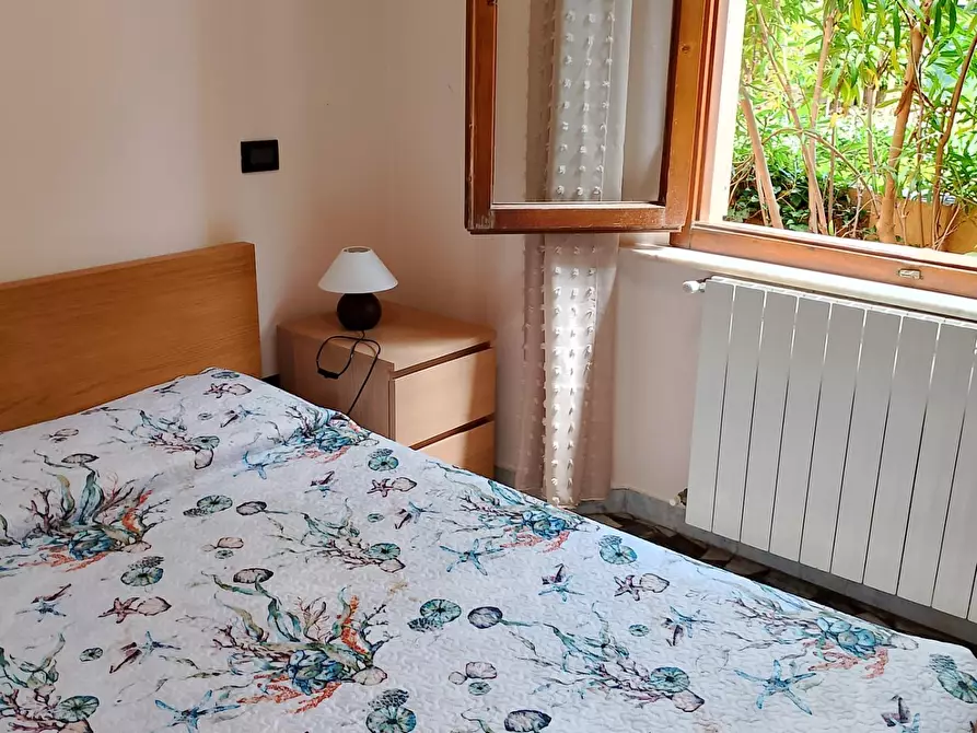 Immagine 10 di Appartamento in affitto  a Rosignano Marittimo