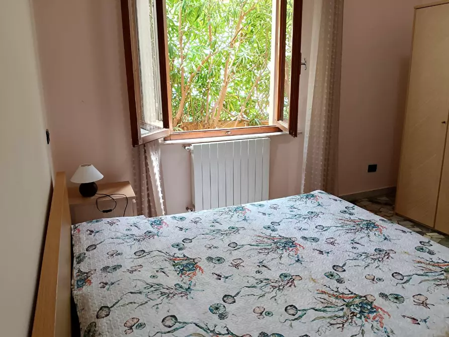 Immagine 13 di Appartamento in affitto  a Rosignano Marittimo