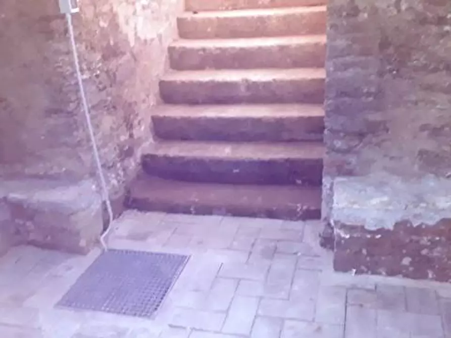 Immagine 29 di Terratetto in vendita  a Buti