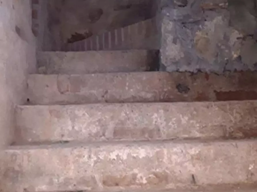 Immagine 31 di Terratetto in vendita  a Buti