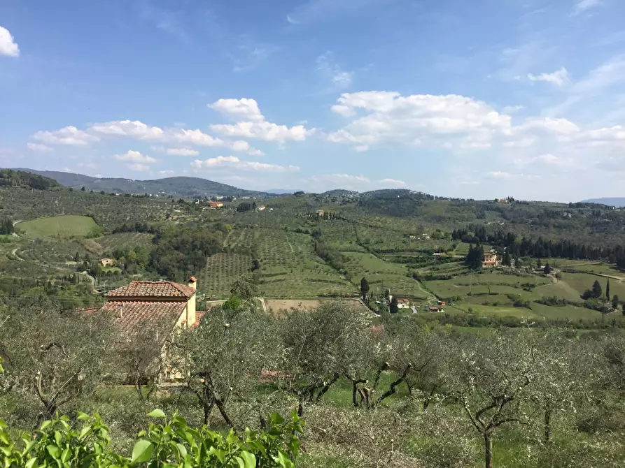 Immagine 1 di Terreno agricolo in vendita  a Firenze