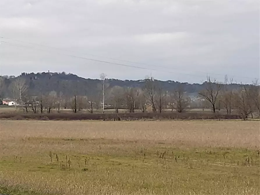 Immagine 11 di Appartamento in vendita  a San Miniato