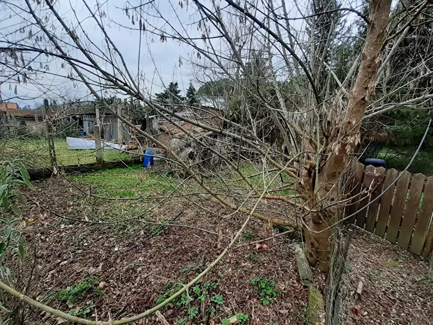 Immagine 10 di Appartamento in vendita  a San Miniato