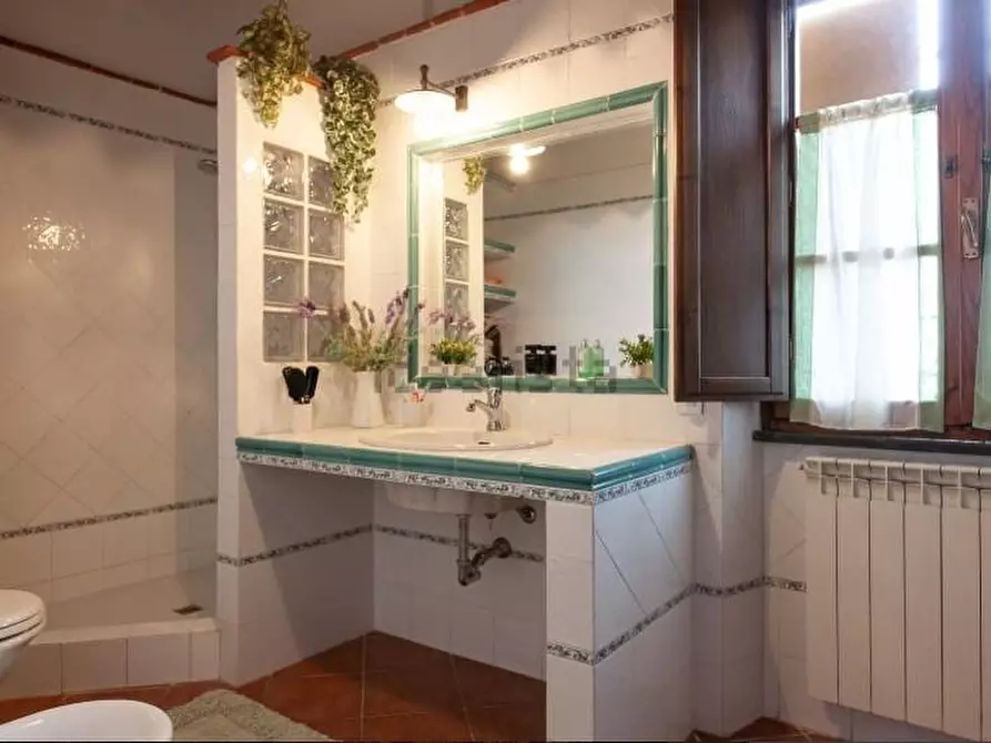 Immagine 20 di Casa colonica in vendita  a Montopoli In Val D'arno