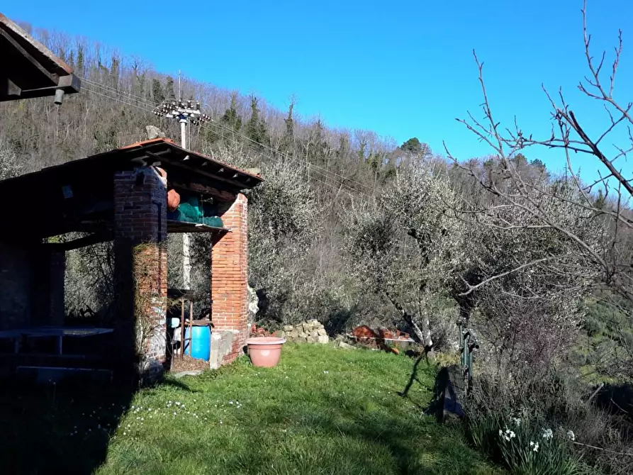 Immagine 1 di Casa colonica in vendita  a Capannori